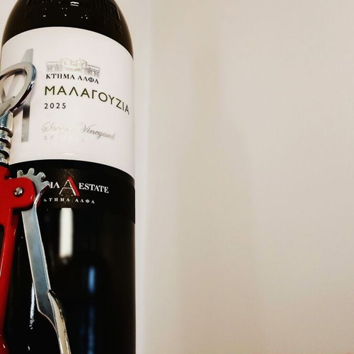 100 Bottles 100 Moments High Oenology New Greek Wine Collection
