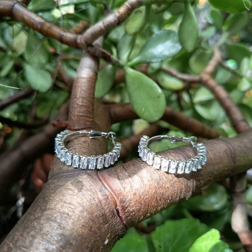 Steel earrings with stones used, silver color