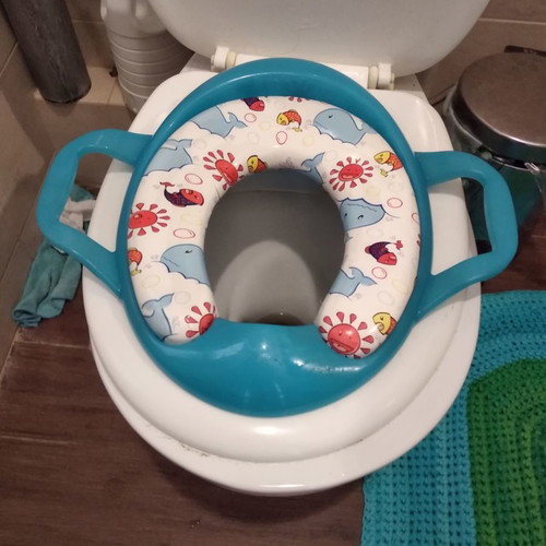 Potty or toilet training ring