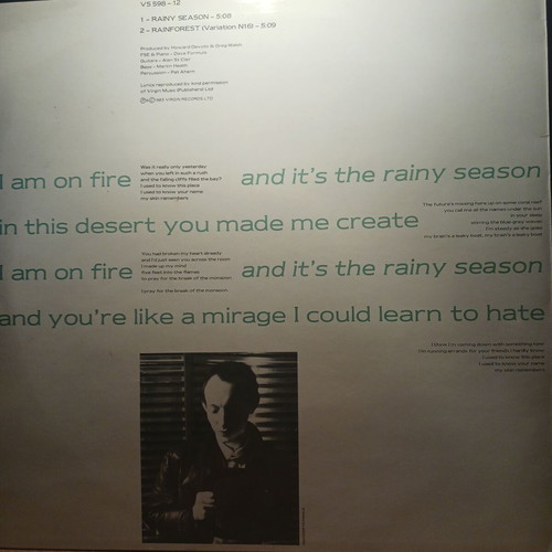 Howard Devoto Rainy Season single used