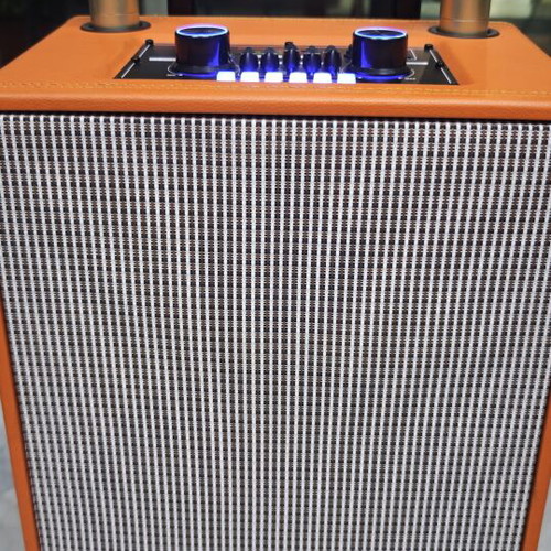 ANDOWL12MAX wireless karaoke speaker with 2 microphones
