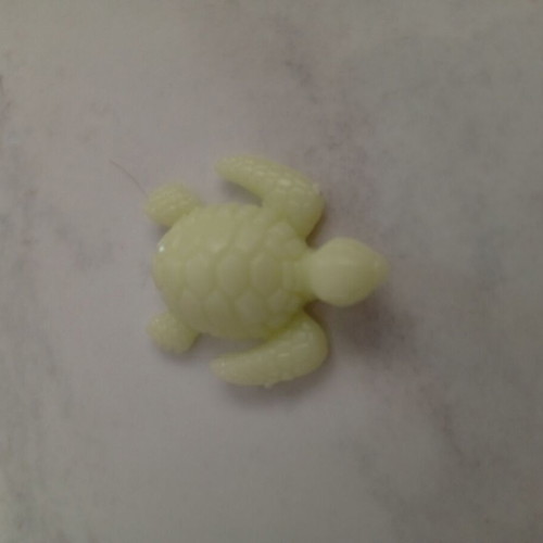 Plastic miniature turtle, fishing bait