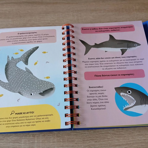 The Sea – My First Questions children's book like new