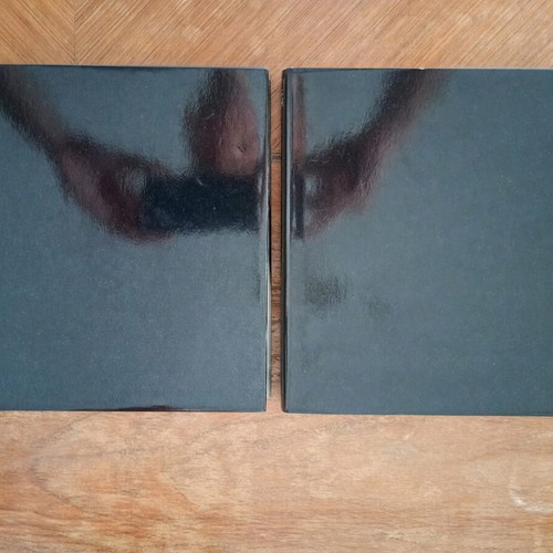Saul Leiter Early Black and White book like new