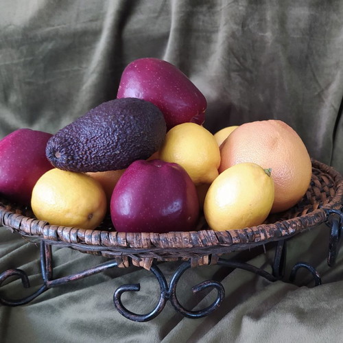 Woven rattan tray used with metal frame