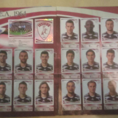 AEL Panini used