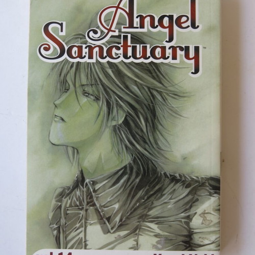 Angel Sanctuary manga used, volumes 1 and 14 in English