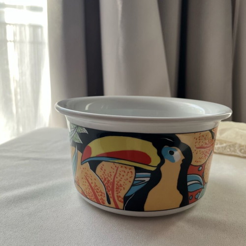 Vintage Pillivuyt France Tukan Porcelain Bowl mint condition