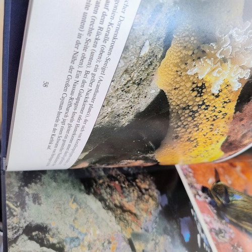 Leben im Ozean book like new, German language, large format
