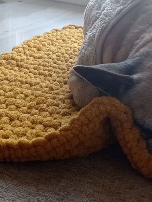 Handmade pet blanket with Alize Puffy yarn, mustard color, made to order