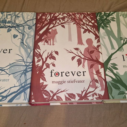Shiver book series like new, set of 3