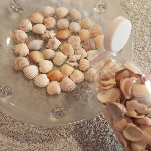 Bottle 0.5L filled with seashells for crafts