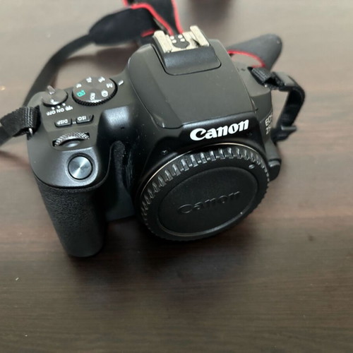Canon DSLR 250D camera like new with tripod, case and micro SD cards