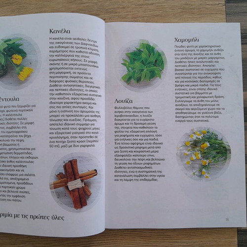 Flavors of Nature book new with original herb and spice recipes