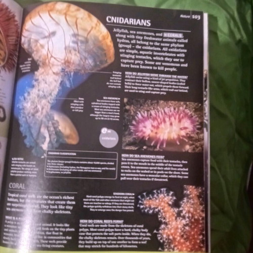 E.encyclopedia hardcover like new, only with Vox
