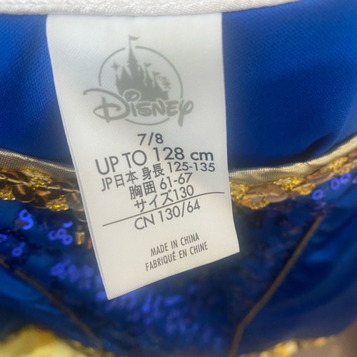 Snow White Costume from Disneyland worn once
