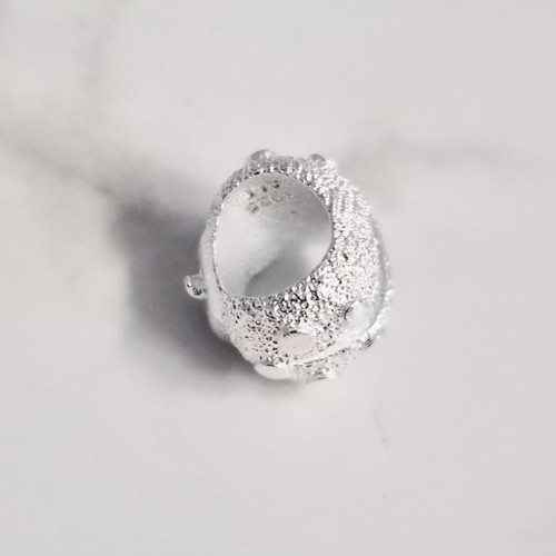 Pandora silver textured ladybird charm 925, new