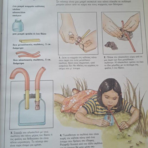 The Young Scientist Invertebrate Animals book like new