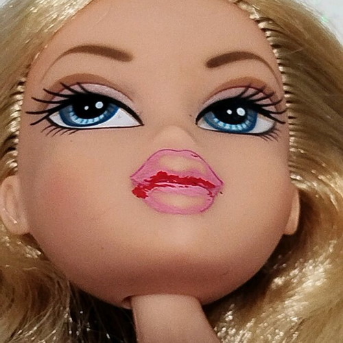 Bratz Pampered Petz Cloe used, incomplete with flaws