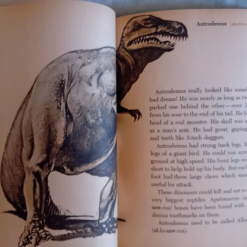 Dinosaurs and More Dinosaurs vintage children's book used, English