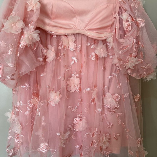 Rose dress with embroidered tulle and off-shoulder sleeves new, pink