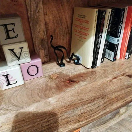 Minimalist cat book stand new