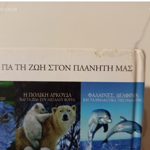 The Encyclopedia of Animals Volume 15 used, Kangaroo and Australian Animals