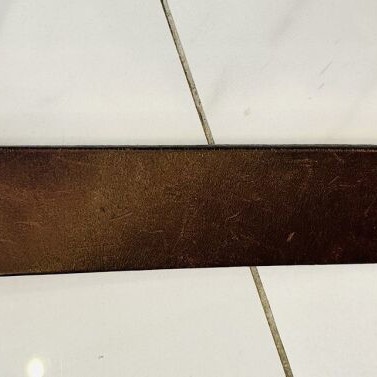Just Cavalli leather belt with snake metal buckle, 100 cm, brown