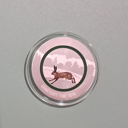 Silver Medal 999 "Gemäßigte Zone 2019" like new, collectible