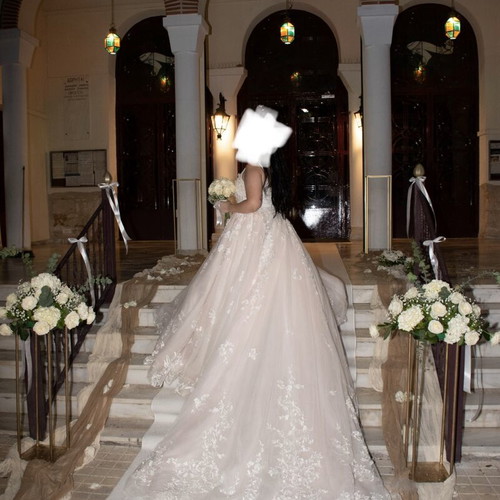 Romantic princess line wedding dress with 3D lace blush ivory like new