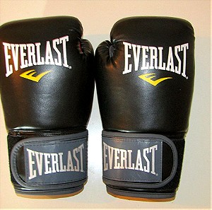 Everlast Muay Thai Kickboxing MMA  γάντια