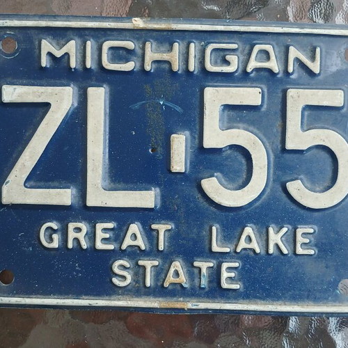 Michigan car license plate used, 1973