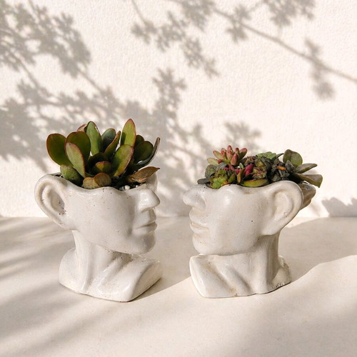 Handmade Cement Face Planters with Succulents