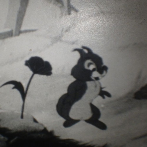 The Angry Bee Super 8mm sound film used animation