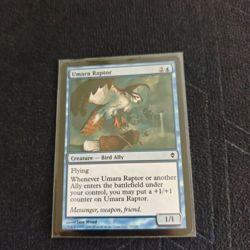 Magic the Gathering Zendikar Zen 17 Cards Like New Collection