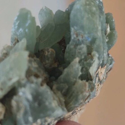 Prasios new, unique rich specimen for collection