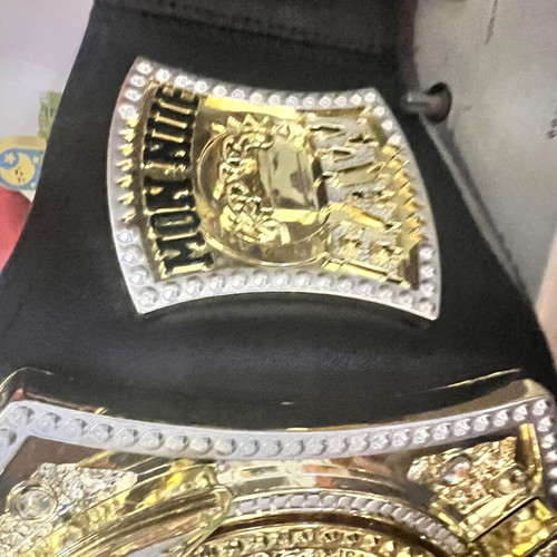 WWE Spinner Championship Replica Belt like new
