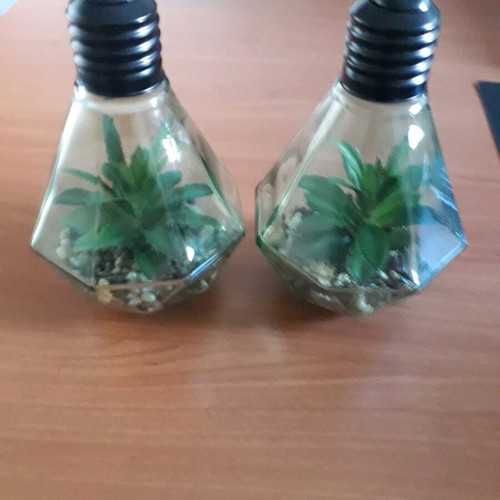 Decorative lighting like new with glass, pebbles and artificial plant