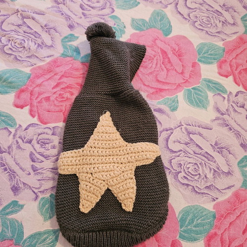 Pet Circle knitted dog sweater with hood and star like new
