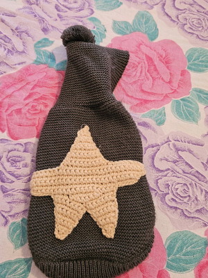 Pet Circle knitted dog sweater with hood and star like new