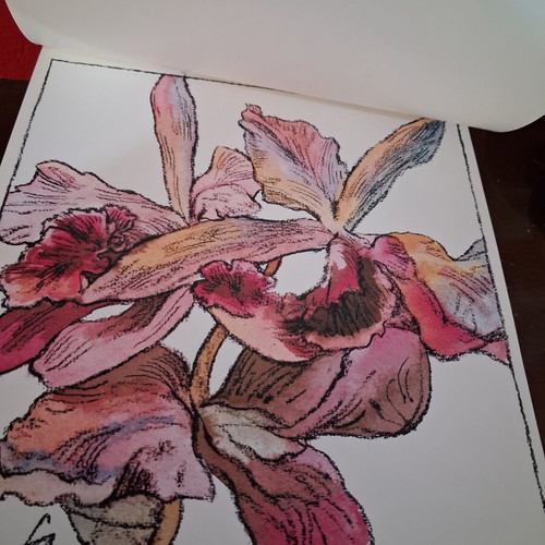 Vintage album with 12 botanical art prints by WINCH, like new