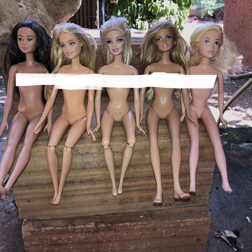 Barbie dolls used with accessories and ponies
