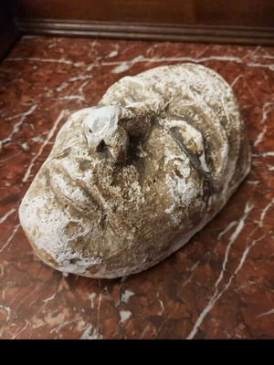 Mask used 23x15cm