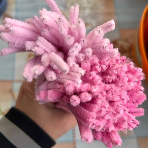 Pipe Cleaners like new, pack of 2