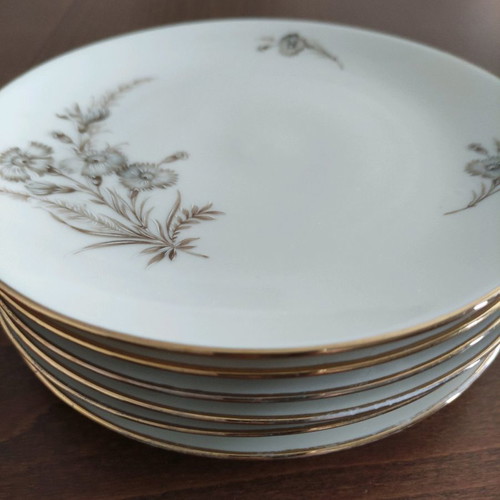 Schumaan German porcelain plates new, set of 6 pieces