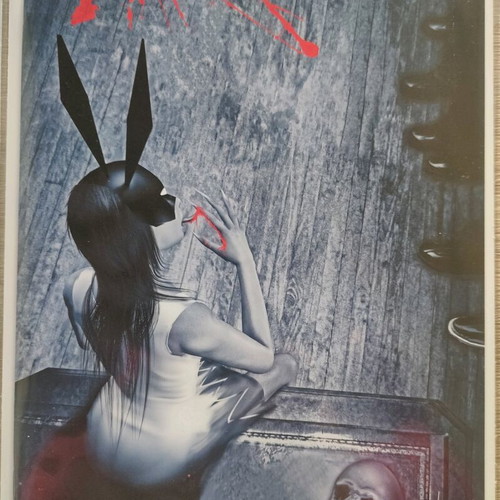 Bunny Mask #1 Horror Mini Series Blood Variant new