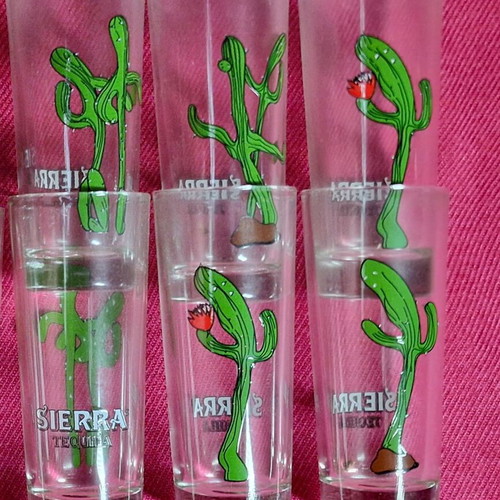 Vintage Sierra shot glasses pack of 6 new