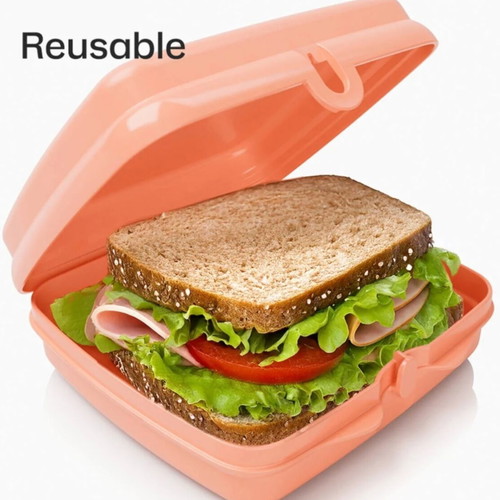 Tupperware sandwich containers, set of 2, with and without designs