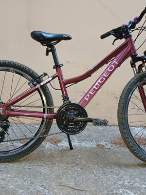 Peugeot JM24 mountain bike, 24 inch wheels, Shimano Tourney