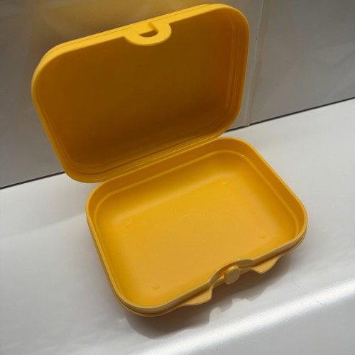 Tupperware medium twin with kids design new